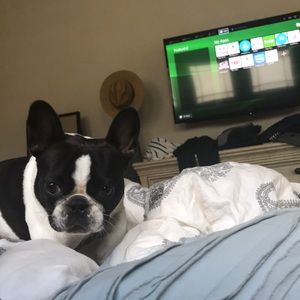 Meet your Posher, Kate